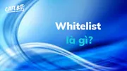 Whitelist là gì? Tầm quan trọng của Whitelist trong đầu tư Crypto