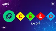 CELO là gì? Tổng quan về hệ sinh thái CELO
