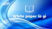 White Paper là gì? Tầm quan trọng của White Paper khi đầu tư Crypto