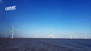 Singapore sẽ nhập 1,2 GW điện sạch từ Việt Nam qua cáp ngầm