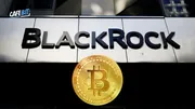 BlackRock mua thêm Bitcoin: Dấu hiệu cho sự phục hồi thị trường?