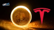 Tesla tiếp tục ôm chặt Bitcoin, bất chấp thị trường biến động