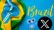 X trở lại Brazil sau khi nộp phạt 5 triệu USD và tuân thủ quy định