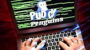 Cảnh báo của Scam Sniffer: Tấn công quảng cáo độc hại nhắm vào người dùng Pudgy Penguins
