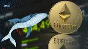 Cá voi Bitcoin “chuyển phe”: Bán 45 triệu USD BTC để gom Ethereum