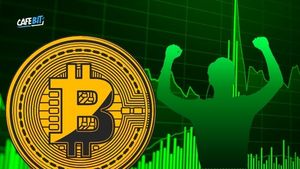 Bitcoin lập đỉnh mới, tiến sát mốc 90.000 USD: Sức hút từ kỳ vọng chính sách mới