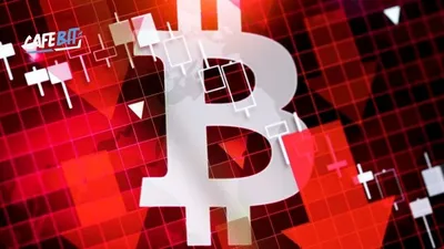 El Salvador Bất Chấp IMF, Tiếp Tục Mua Thêm Bitcoin