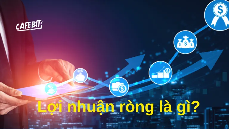 Lợi nhuận ròng là gì?