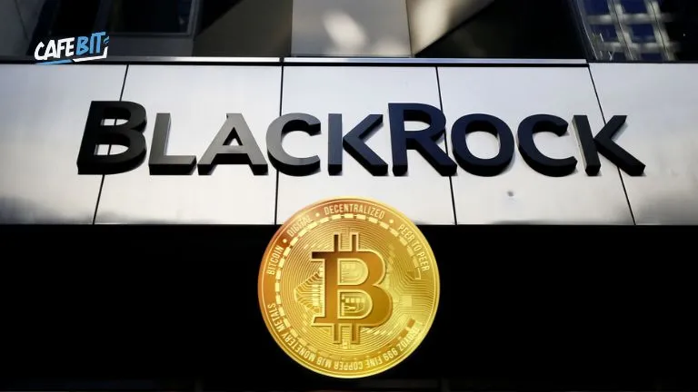 BlackRock mua thêm Bitcoin: Dấu hiệu cho sự phục hồi thị trường?