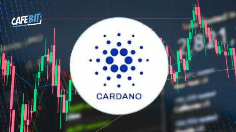 Cardano bổ nhiệm Giorgio Zinetti làm CTO mới