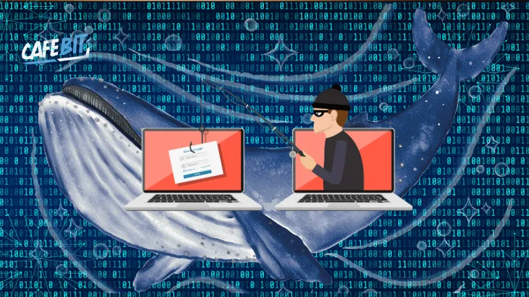 Cá voi crypto "bốc hơi" 55 triệu USD vì sập bẫy phishing tinh vi