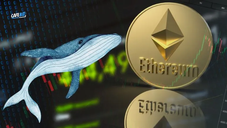 Cá voi Bitcoin “chuyển phe”: Bán 45 triệu USD BTC để gom Ethereum