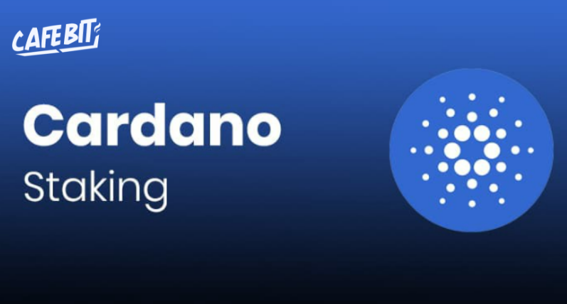 Hình ảnh bài viết: Cách Stake Cardano (ADA)