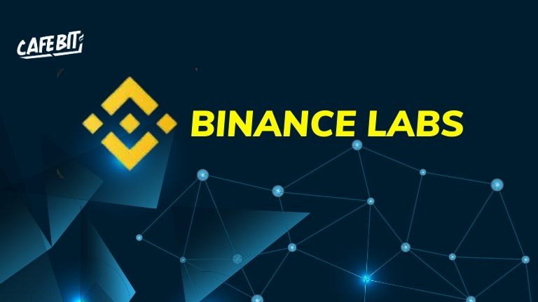Hình ảnh bài viết: Binance Labs đầu tư $10M vào Radiant