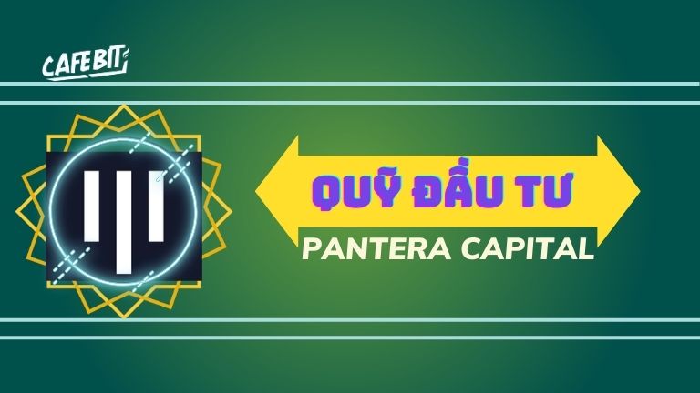 Hình ảnh bài viết: Pantera Capital dẫn đầu khoản đầu tư $16.5 triệu vào Brine Fi