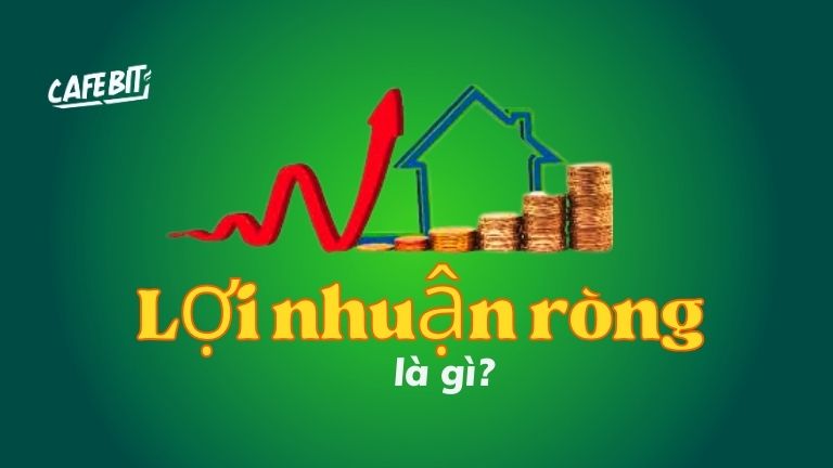 Hình ảnh bài viết: Lợi nhuận ròng là gì?