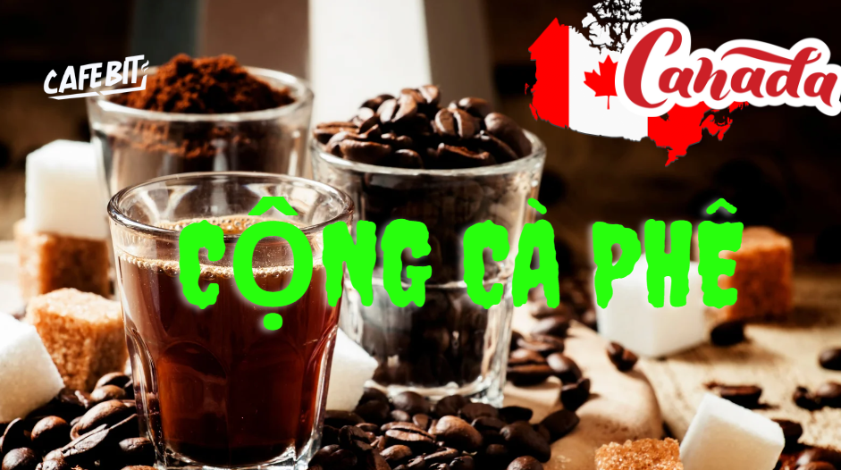 Hình ảnh bài viết: Cộng Cà phê khai trương cửa hàng đầu tiên tại Canada