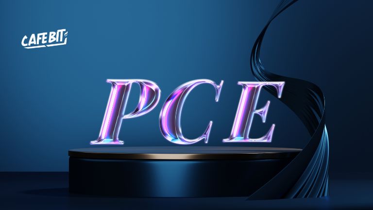 Hình ảnh bài viết: PCE (Chi tiêu tiêu dùng cá nhân) là gì?