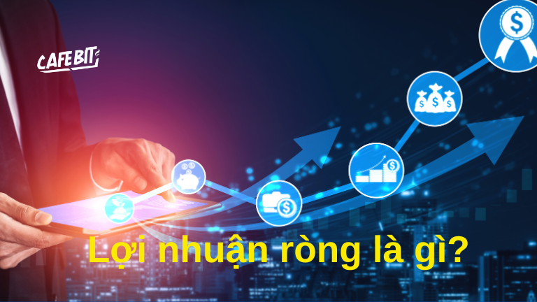 Hình ảnh bài viết: Lợi nhuận ròng là gì?