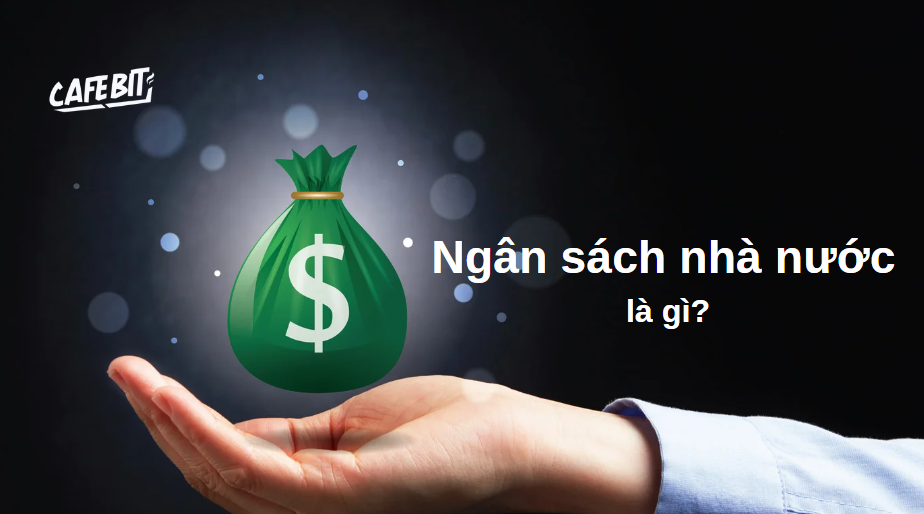 Hình ảnh bài viết: Ngân sách nhà nước là gì?