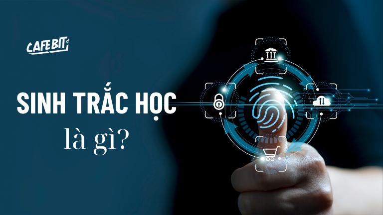 Hình ảnh bài viết: Sinh trắc học là gì? 