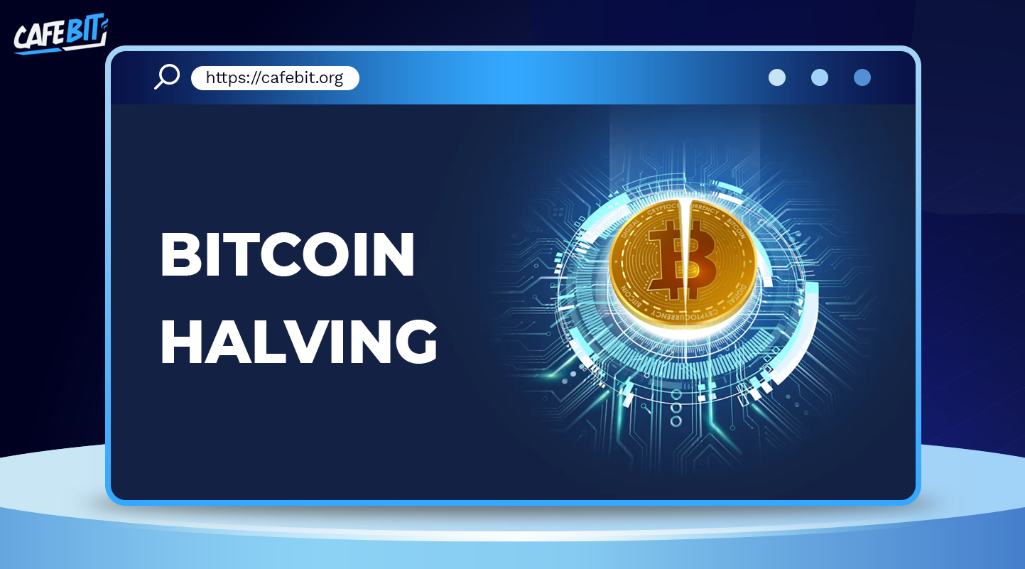 Hình ảnh bài viết: Tổng quan về Bitcoin Halving. Những điều nhà đầu tư crypto cần chú ý 