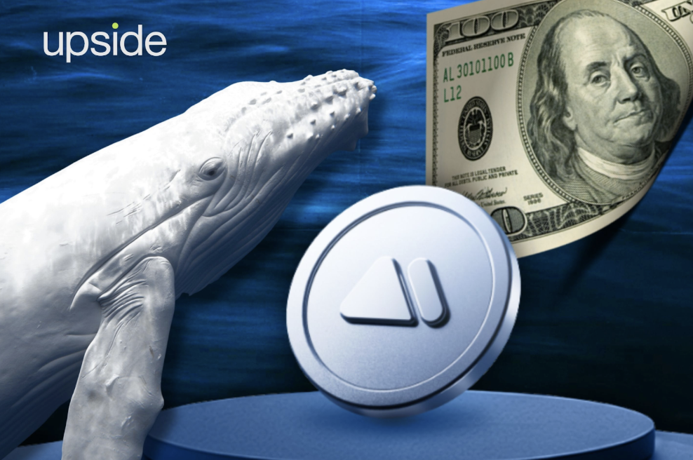 Hình ảnh bài viết: Khủng Hoảng Niềm Tin CEX: Vì Sao Mô Hình “Sàn Đa Năng” (UEX) Của Bitget Là Tương Lai An Toàn Cho Trader?