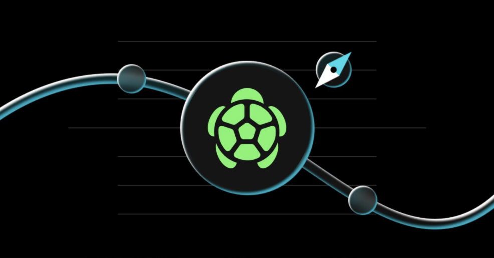 Hình ảnh bài viết: Turtle (TURTLE) là gì? Giao thức phân phối đầu tiên kiếm tiền từ hoạt động Web3