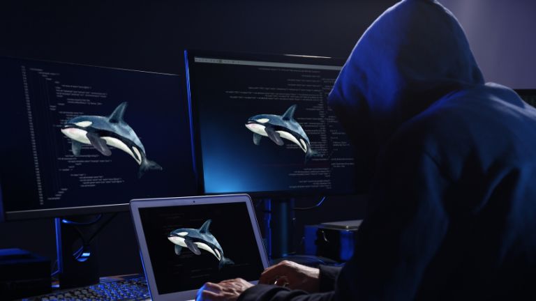 Hình ảnh bài viết: Cá voi crypto mất hơn 282 triệu USD vì lừa đảo ví phần cứng